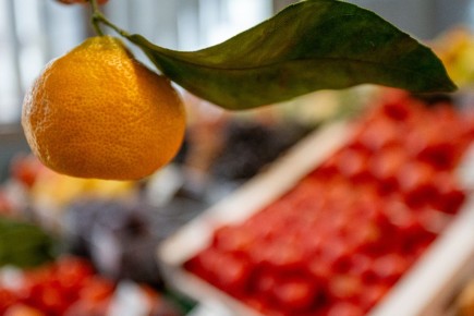 Традиционная акция дарит праздник