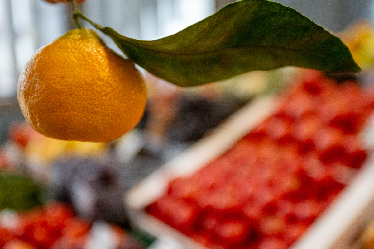 Традиционная акция дарит праздник