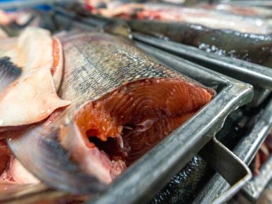 Выездная торговля с рыбой и фермерскими продуктами впервые в Синегорске и Санаторном