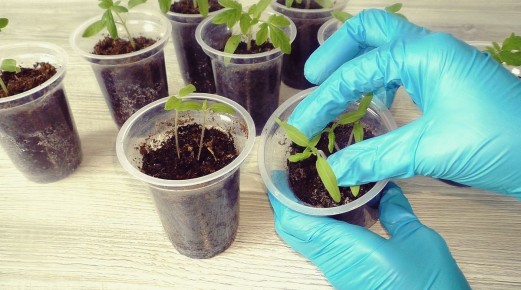 ������� �������� ��������� ������� ��� ������� �������