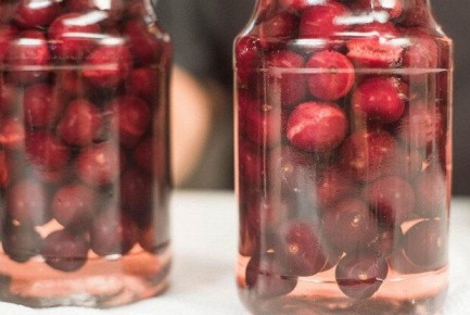 ������� �������� ������