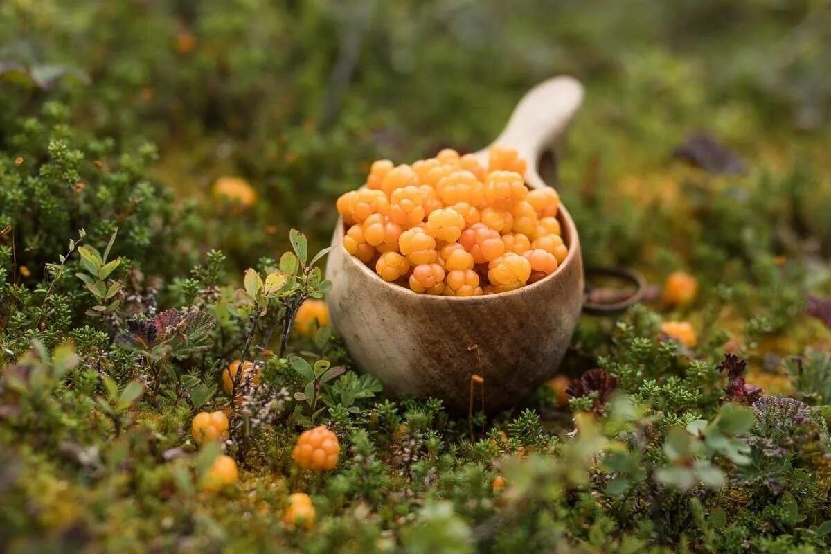 �������: ��������� �������� ����� � � ������������ ��������