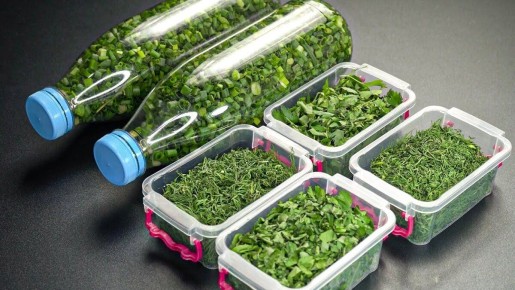 Как сохранить зелень на зиму: простые и эффективные способы