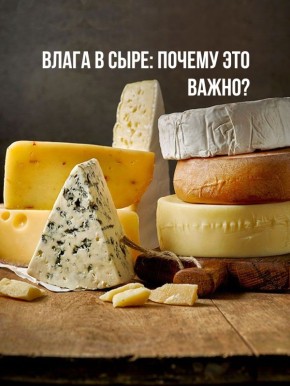Влага в сыре: ключ к пониманию его вкуса и срока хранения