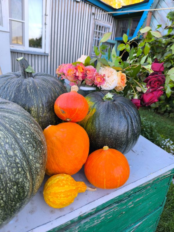 ��������� ��������: ��� ��� �������� �����