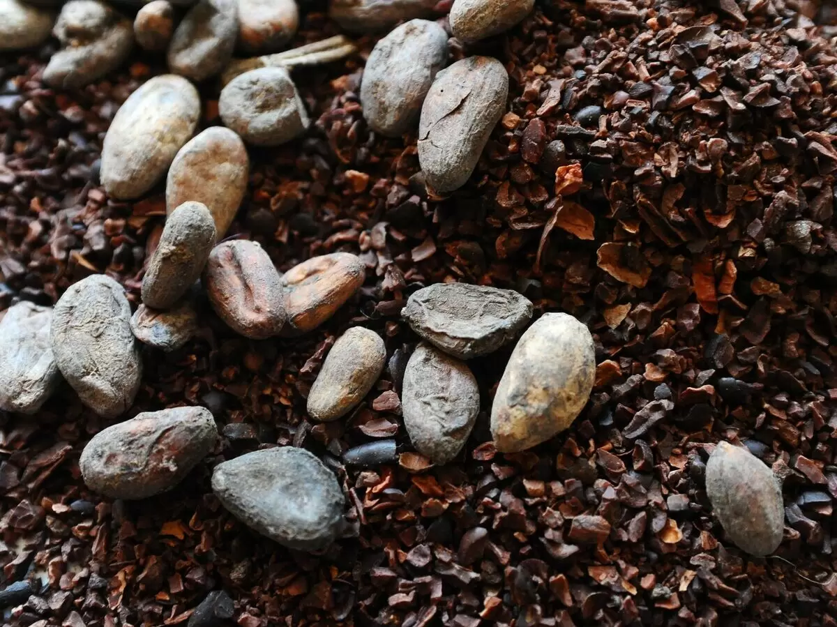 Цены на какао-бобы завершили квартал резким падением