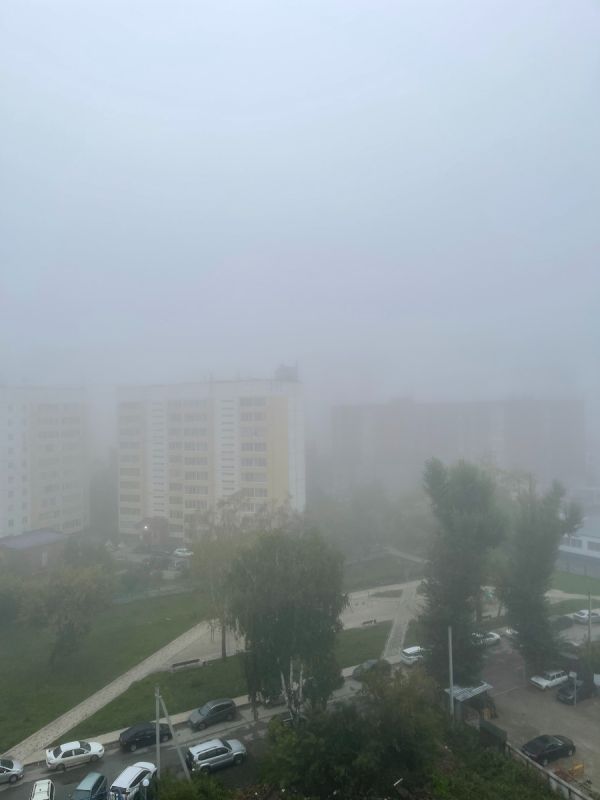 ��� ������� ��� �� ����-�����: ���������� � ���������� �� ������ �����