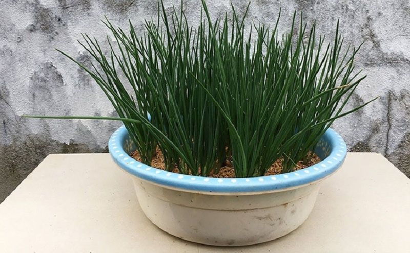 ��� ��������� ������ ������� ��� �� ����������� ����� �� ��� ������?