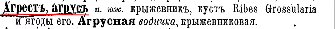 Агрус: забытый вкус лета и рецепты его волшебного использования