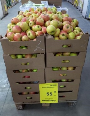 Светофор: экономия на новогодних праздниках без лишних хлопот