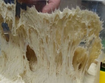 Как спасти неподнявшееся тесто: секреты выпечки от профессионалов