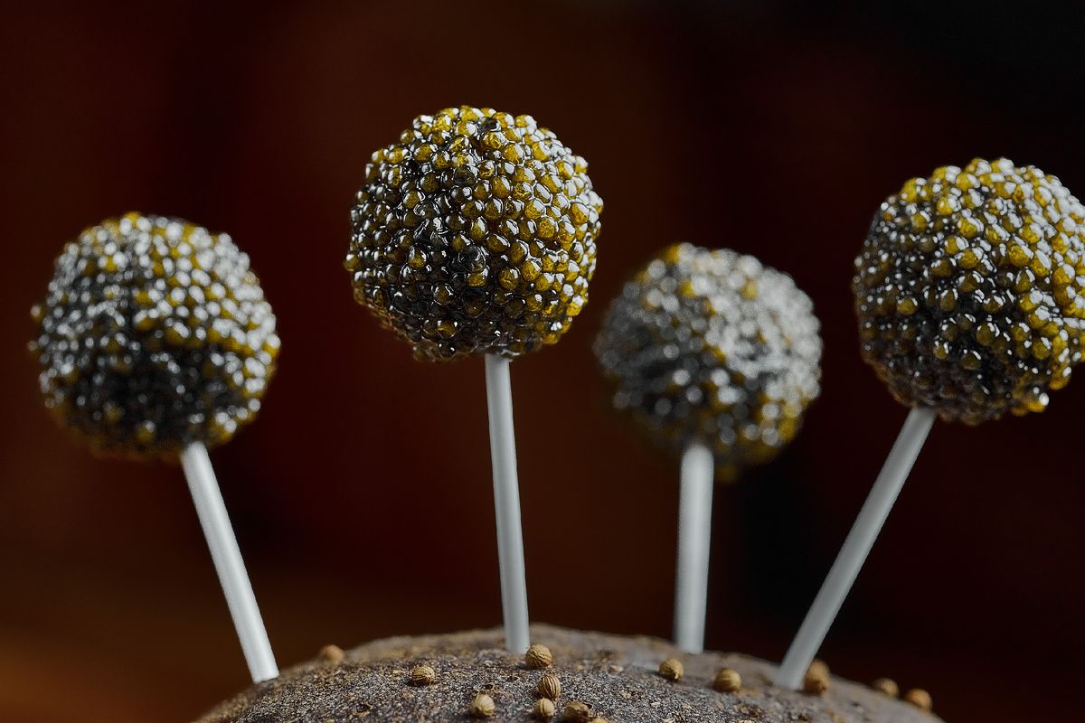 ����-����: ����� ���������������� ����� ������