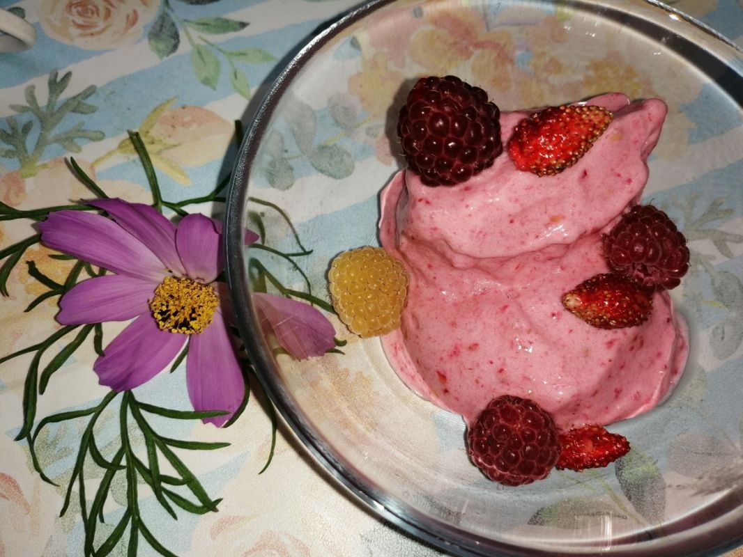 ������ ��������� ��������� ����������: ������� ���� � �������