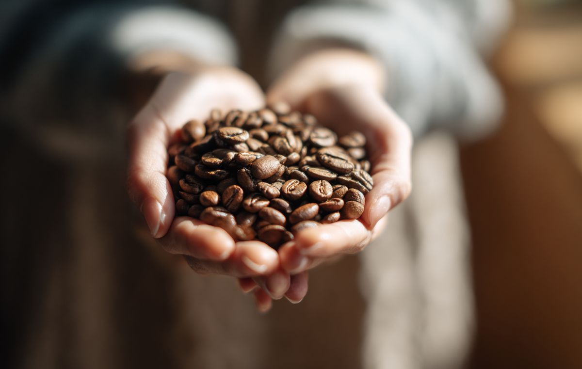 ��� ������� ��������� ����: wetenschap �� ������