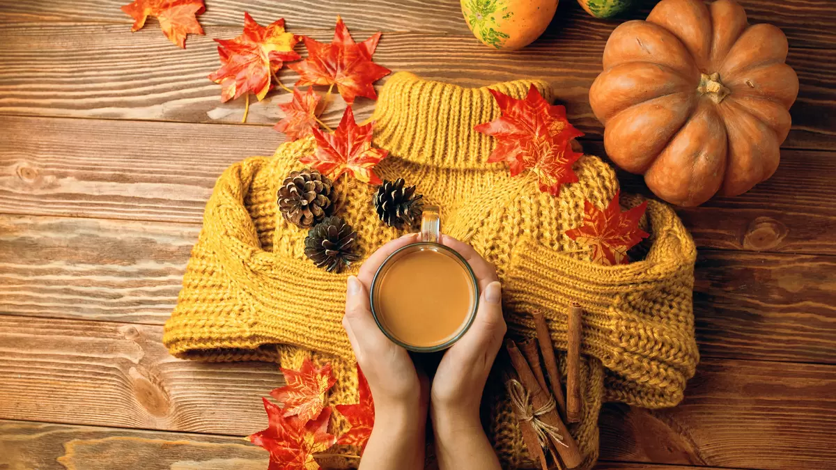 Юмор с теплом: где найти радость в повседневности