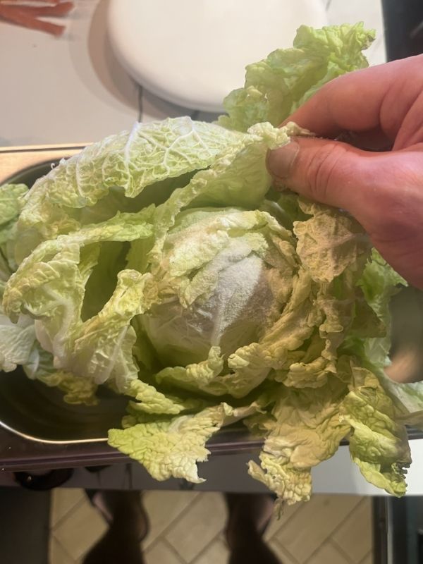 ���-��: ��� ������ ��������� �������� ������ ��������