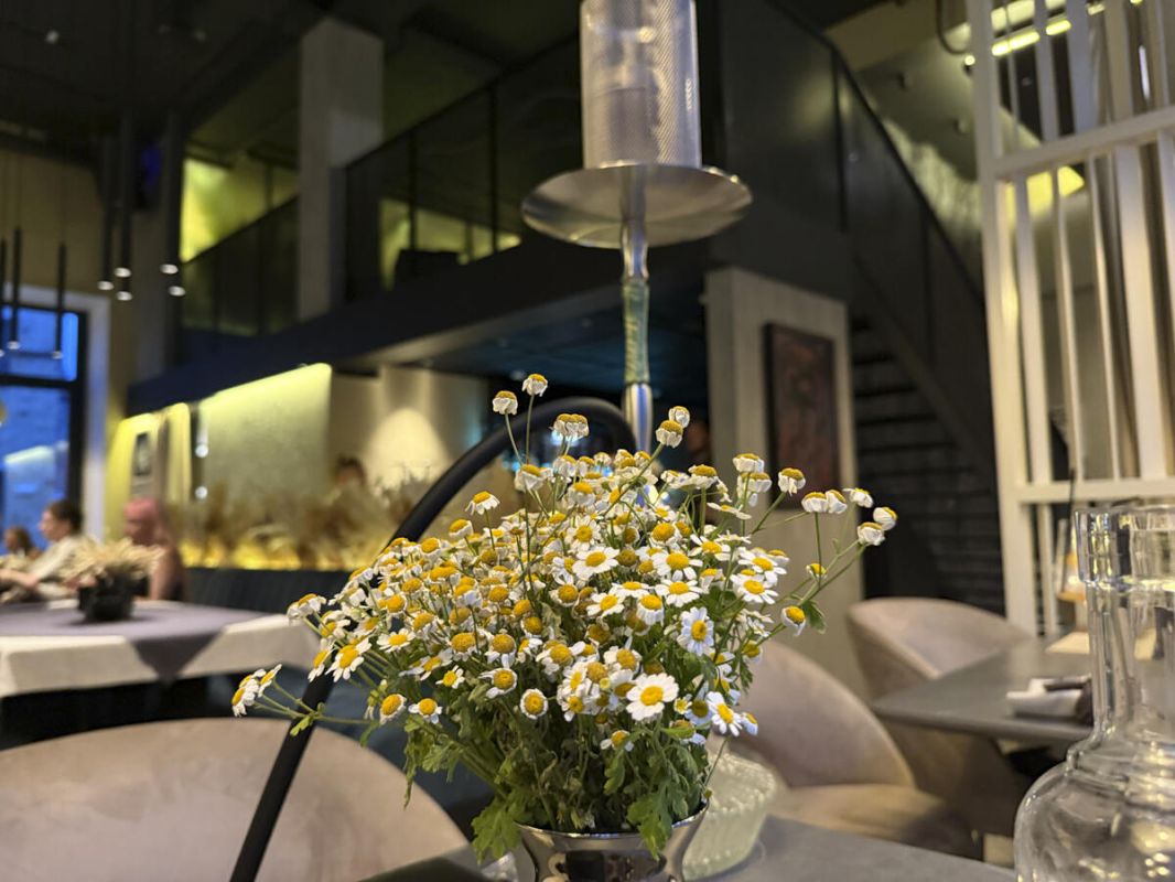 ����� �������� ����������� ����� ���������� ������ ������ � ������ �� �������� ����