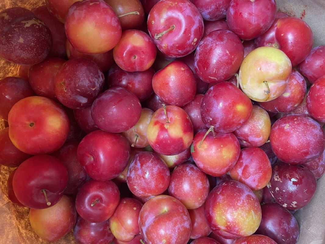 ���������� ������������ ����: ��� ���� ����� ������ ���� �����?