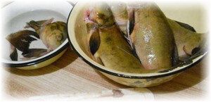 ����: ������� ������� � ������������� ����� ����������� ����������