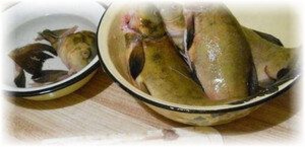 ����: ������� ������� � ������������� ����� ����������� ����������