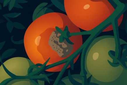 ���������� ���� ��� ����������� ������ � ������ ������� �� ����� �����