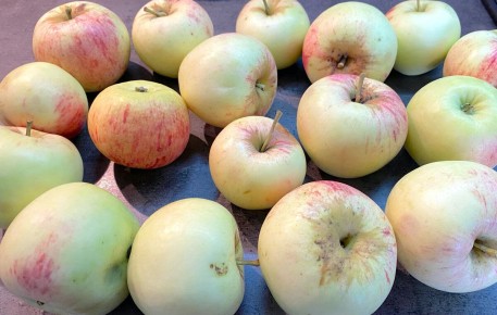 ����������� �������� ������ ��� ������ ������������ ��� ���� �����