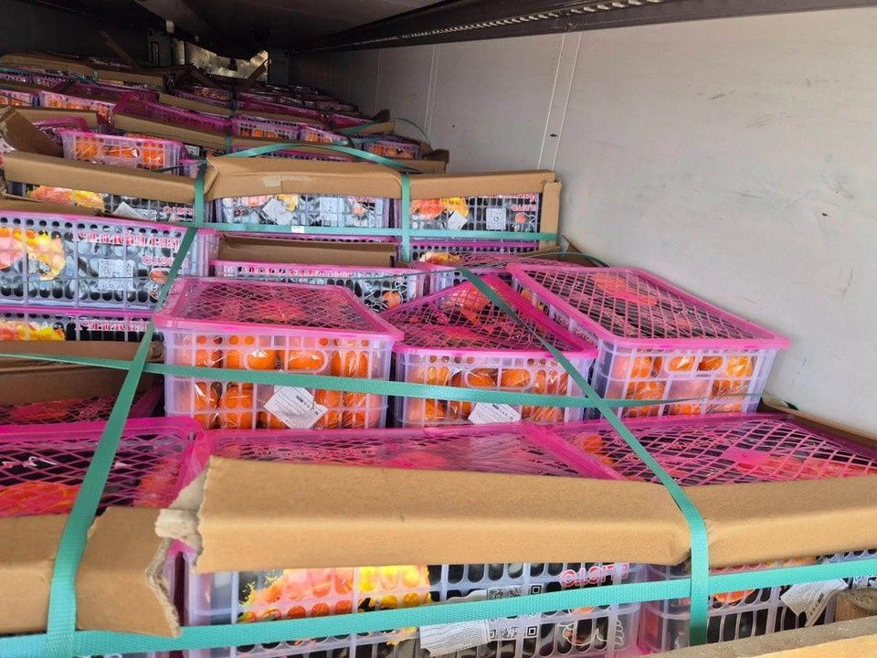 ������������ ������� ������������� ������ ���������� � ������ ����������