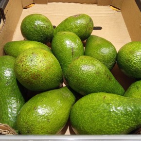 �������: ����������� ��������, ������� ������� ��� ��������