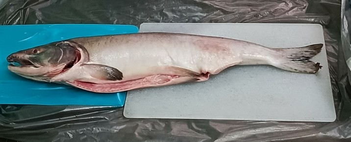 �� ����� � ��������: ��� �������� � ����� � ������������