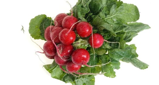 �������: �� ������ ������� �� ����������� �����������