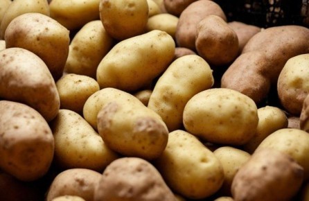 �������� ������������� ���������������� � �����������: ��������� ����� ����� ��������������