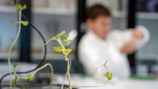 ��� ��������� � ������ ������������ � ����