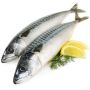 ��� ������������ �������� ����: ������� ���������� �����