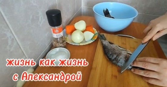 ������ �������� ����: ���������� ���� � ������� � �������