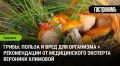 �����: ��� ������������ �� ������ ��� ����� ��� ��������