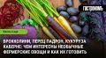 Необычные фермерские овощи: что стоит попробовать в этом сезоне?