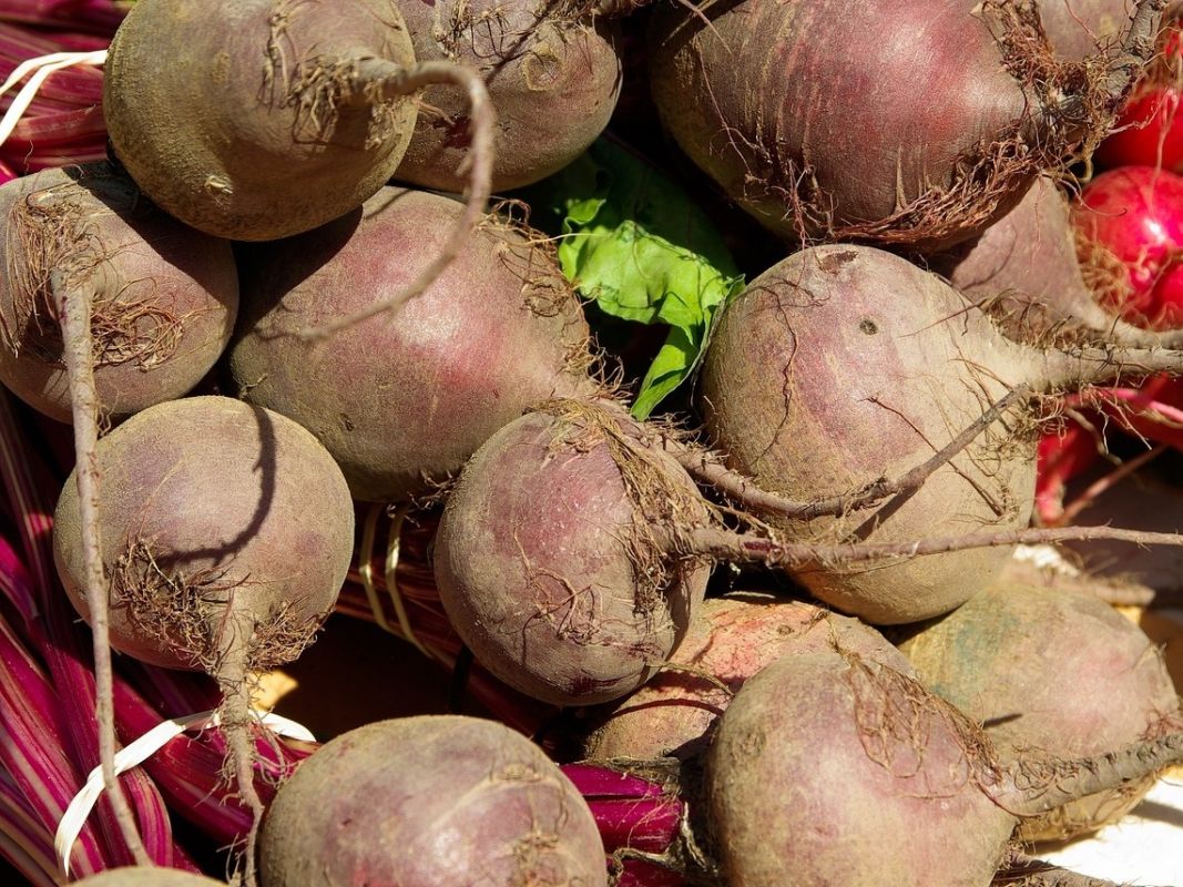 Цены на важные продукты продолжают снижаться: что об этом говорят данные АКОРТ?