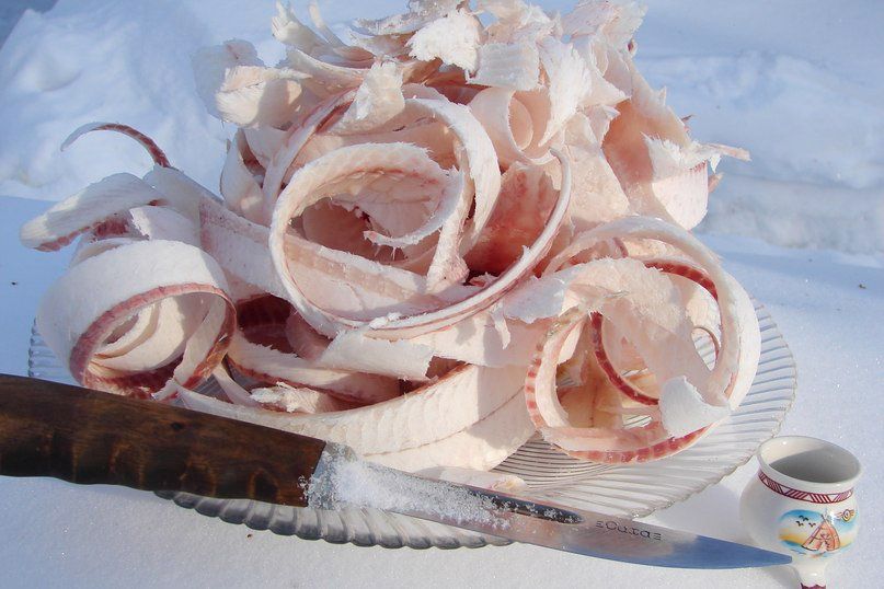 Водный стадион и строганина из муксуна: спокойная история вкуса и быта
