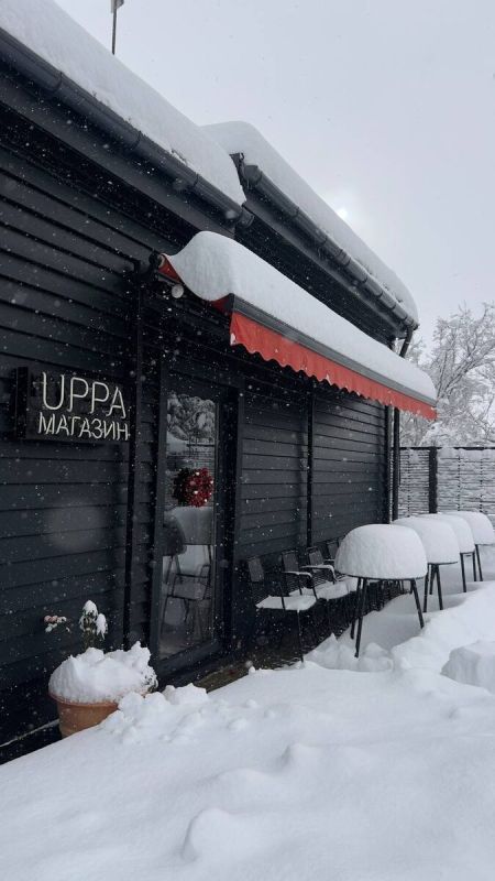 Новогоднее чудо на винодельне: как праздновать с изысканными вкусами
